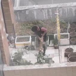 河南一小区爆料视频最新,业主维权引发关注，真相究竟如何？