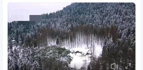 天鹅林场最新爆料视频,最新爆料视频揭秘惊人真相