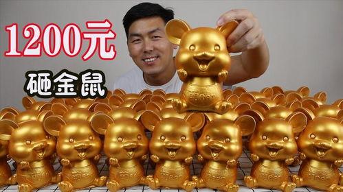 最新老鼠爆料新闻视频大全,揭秘娱乐圈幕后真相