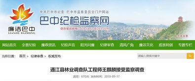 通江县最新爆料信息查询,揭秘当地发展新动态与民生改善成果