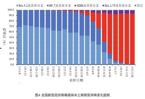 新冠病毒最新疫情爆料